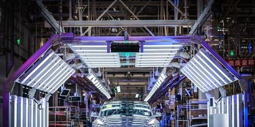 蔚來失守，誰能阻擋特斯拉的鐵蹄？